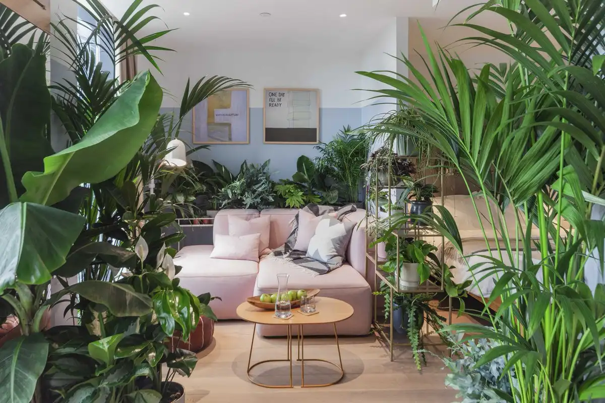 3 plantas XL para transformar sua sala de estar com estilo e sofisticação