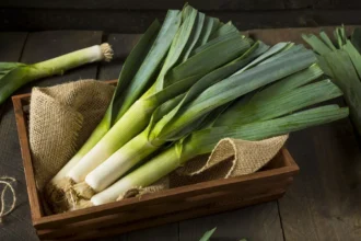 Benefícios do alho-poró: melhore a sua saúde com este superalimento de inverno
