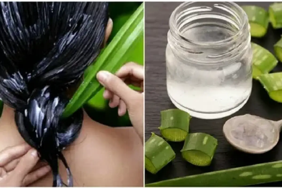 Transforme o seu cabelo com Aloe Vera: o segredo natural definitivo