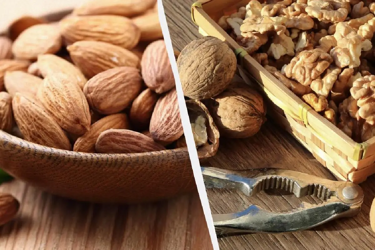 Amêndoas vs. nozes: qual noz é melhor para a sua saúde? Nutricionistas explicam