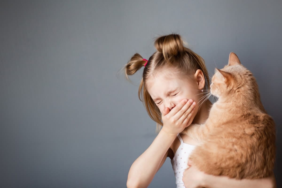 Qual animal de estimação escolher se você tem tendência a alergias?