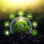 Rios e o Ciclo do Carbono: Um Impacto Climático Inesperado