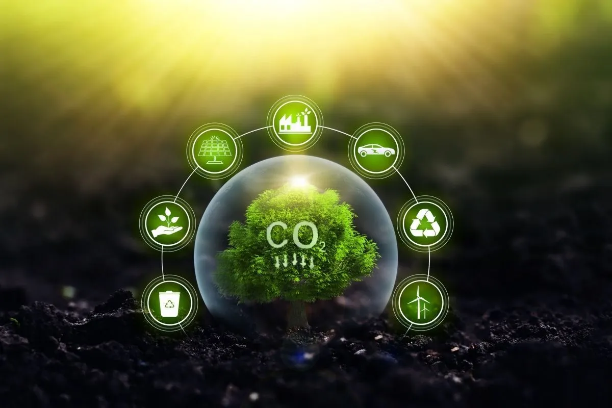 Rios e o Ciclo do Carbono: Um Impacto Climático Inesperado