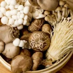 Cogumelos medicinais: tudo o que precisa saber sobre seus benefícios e os 4 melhores para sua saúde
