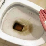 Como Remover Mofo do Vaso Sanitário com um Truque Caseiro Simples