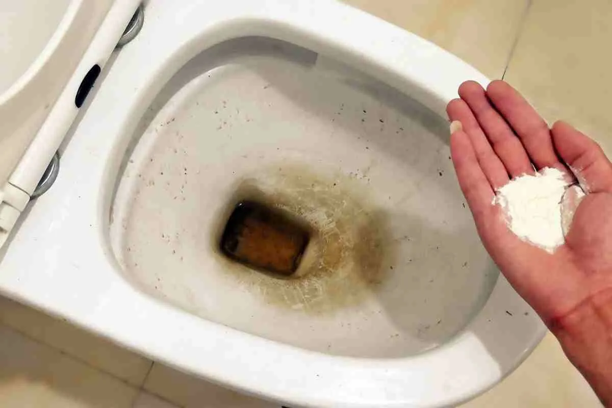 Como Remover Mofo do Vaso Sanitário com um Truque Caseiro Simples