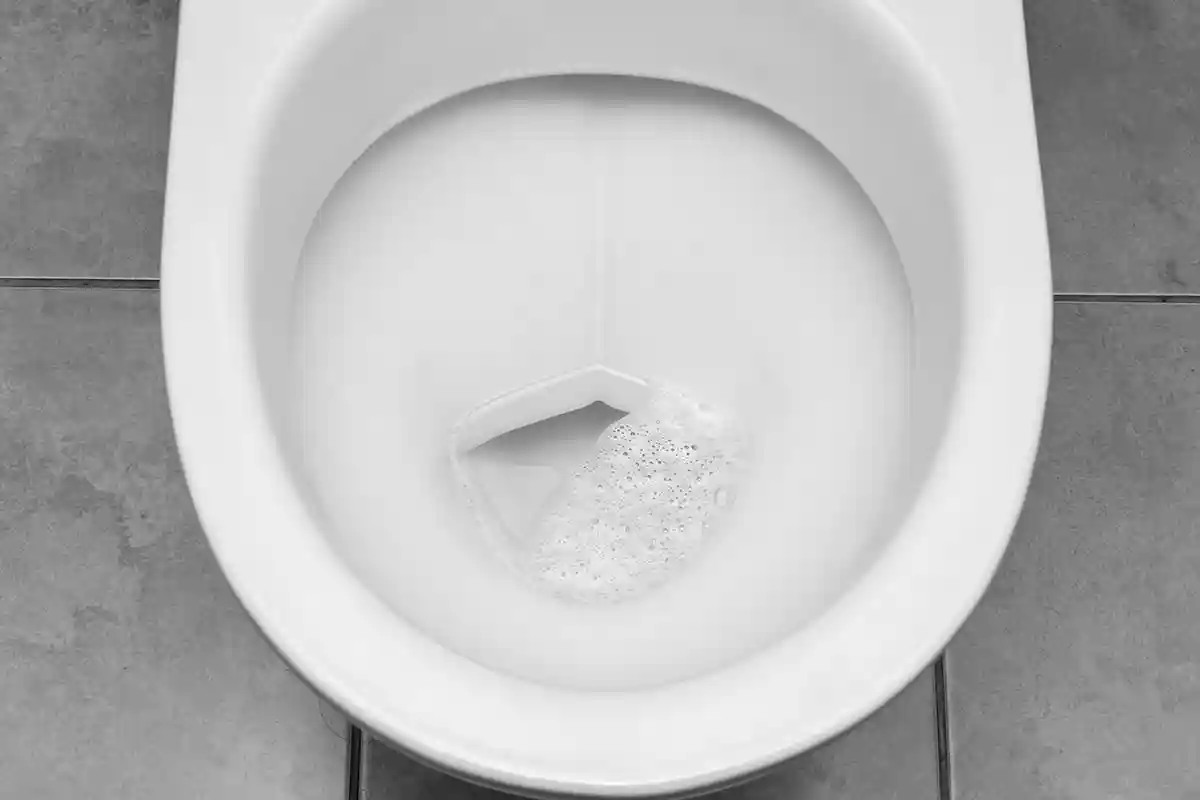 Como Remover Mofo do Vaso Sanitário com um Truque Caseiro Simples