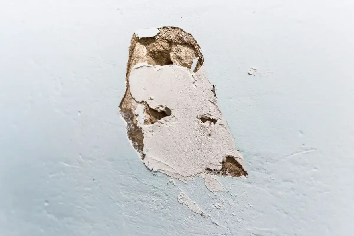 Como Tapar Buracos na Parede: Passo a Passo com um Truque Caseiro
