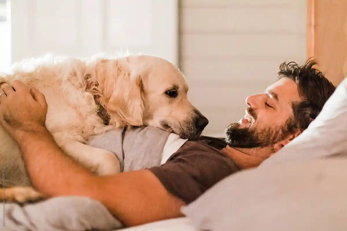 Por que o seu cão olha fixamente nos seus olhos: especialistas revelam a verdade comovente