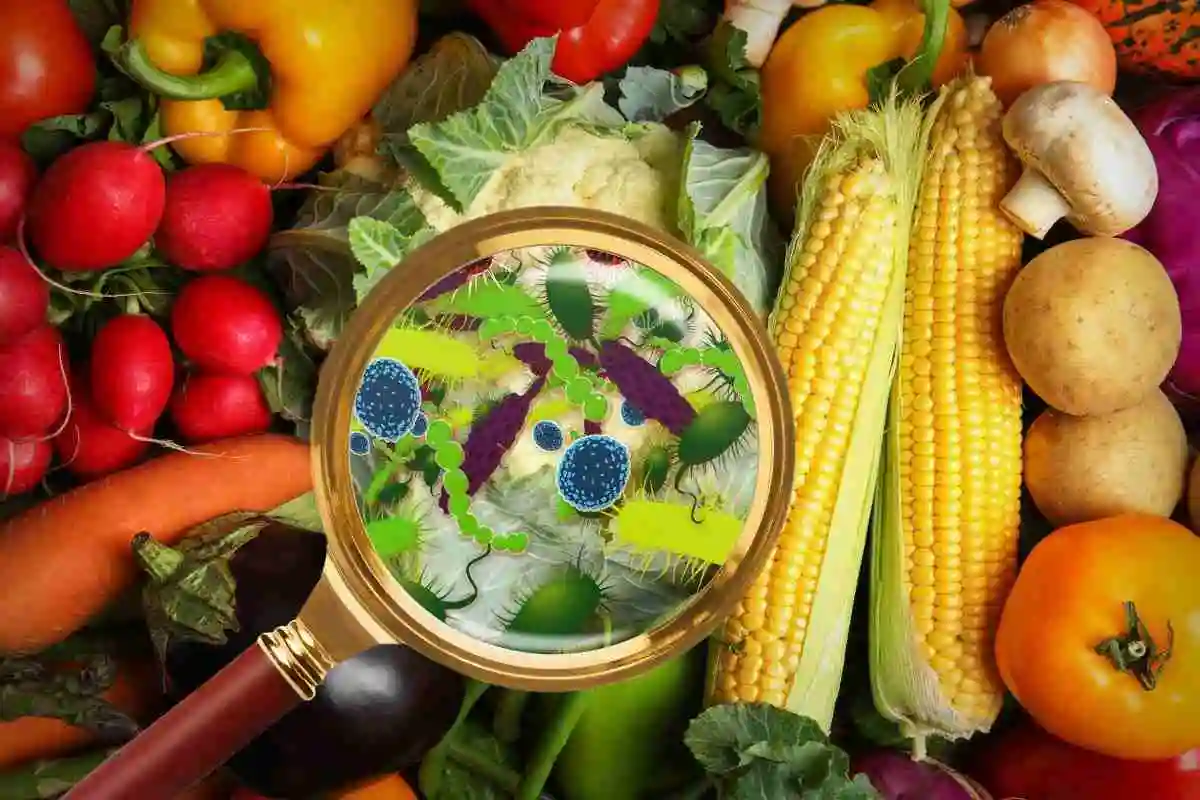Contaminação Química nos Alimentos: O Inimigo Invisível em 8 de Cada 10 Produtos
