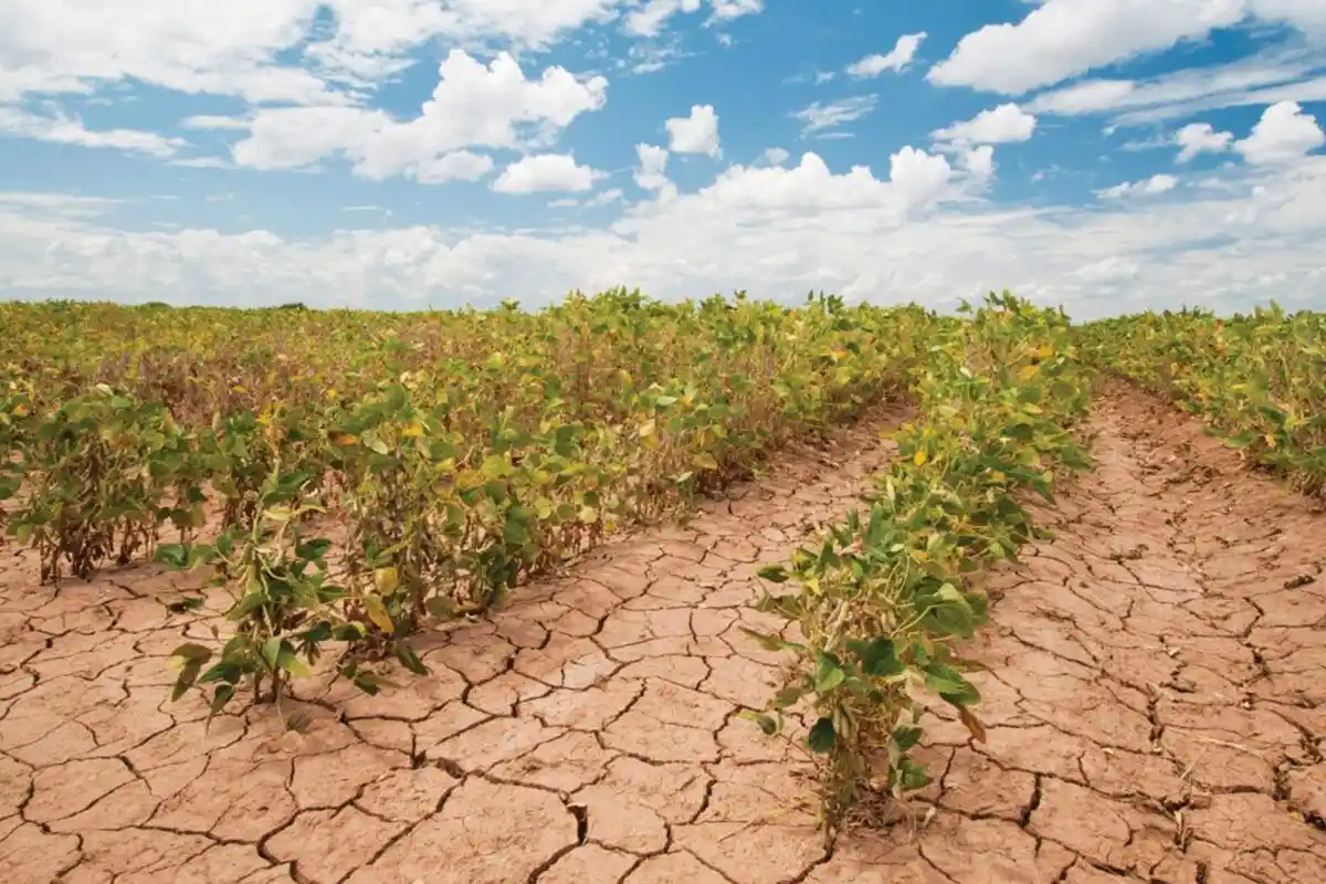 Alerta de crise climática: como o aquecimento ameaça a segurança alimentar global