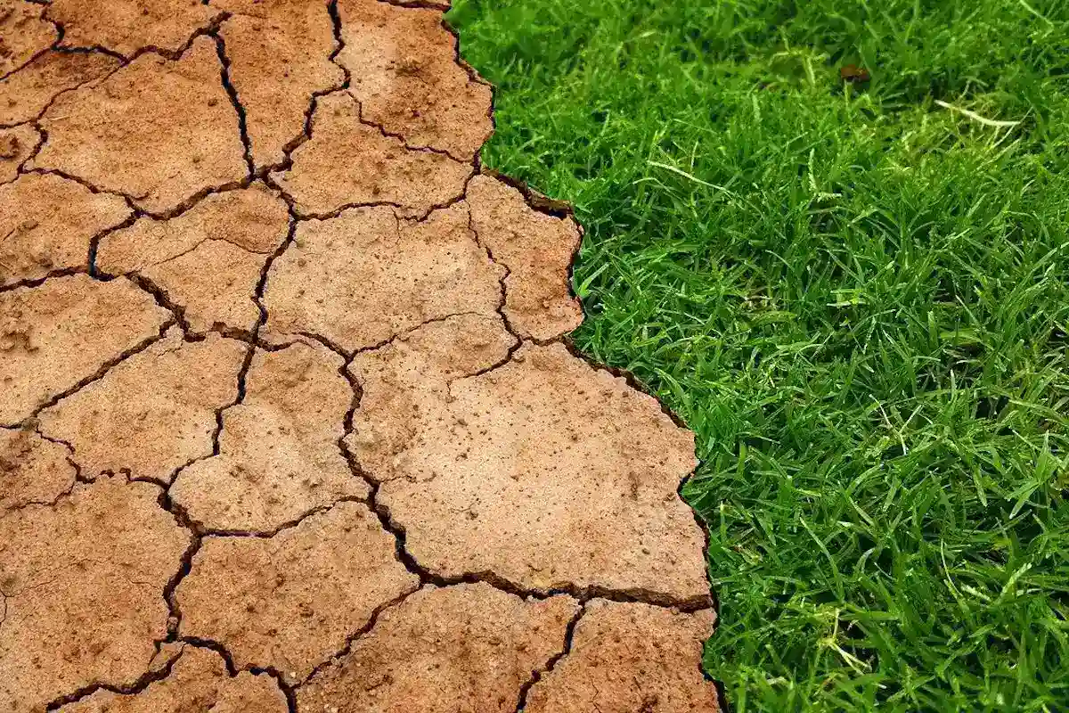 Alerta de crise climática: como o aquecimento ameaça a segurança alimentar global