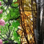 A Terra Está a Perder as Suas Quatro Estações? Dados Climáticos Alarmantes