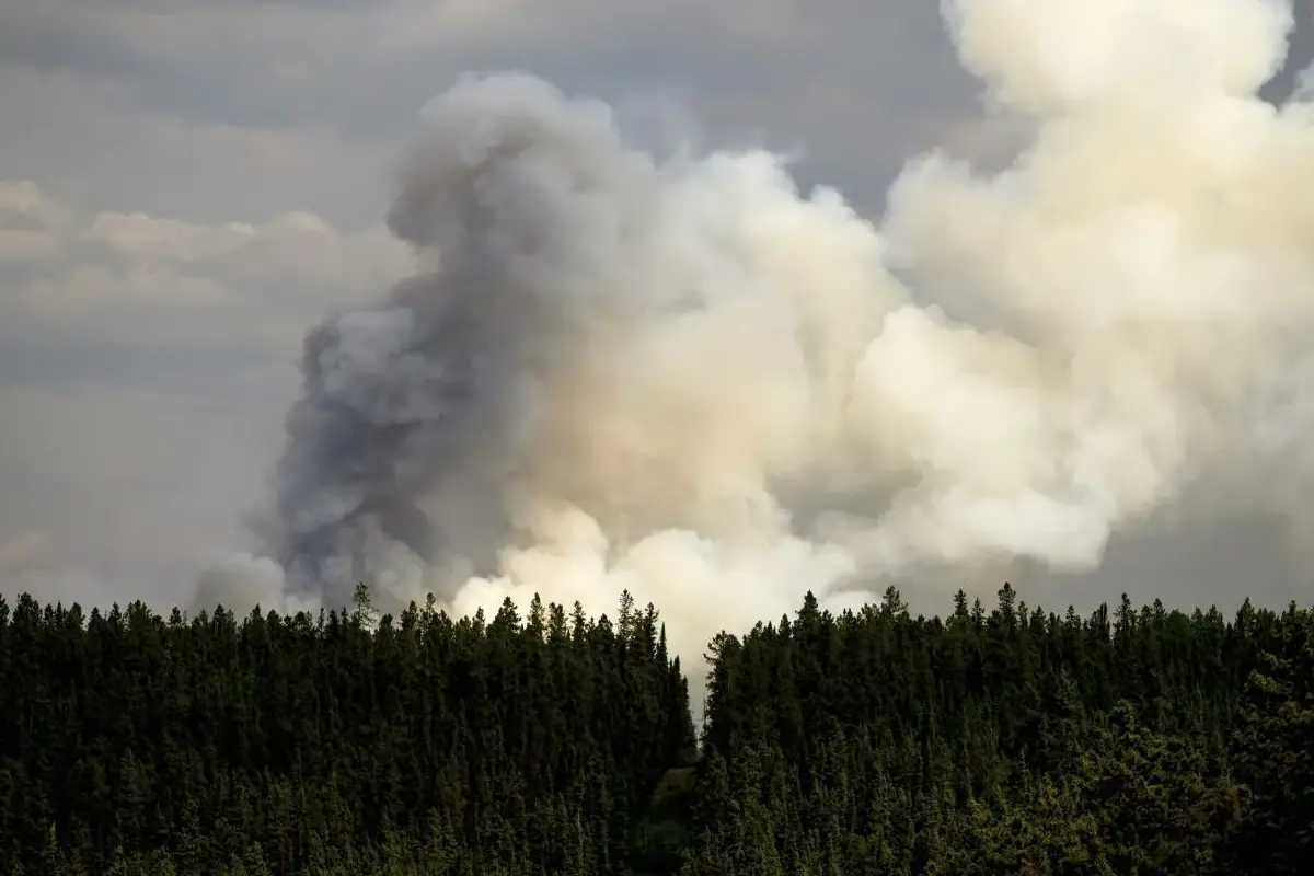 A Terra Está a Perder as Suas Quatro Estações? Dados Climáticos Alarmantes