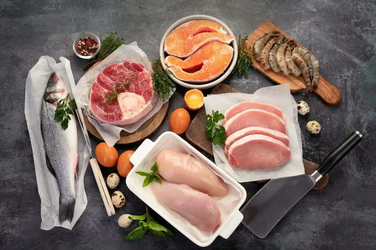 Dieta Carnívora: O Que É e Faz Bem à Saúde?