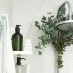 Transforma o Teu Banheiro num Spa: O Segredo do Eucalipto