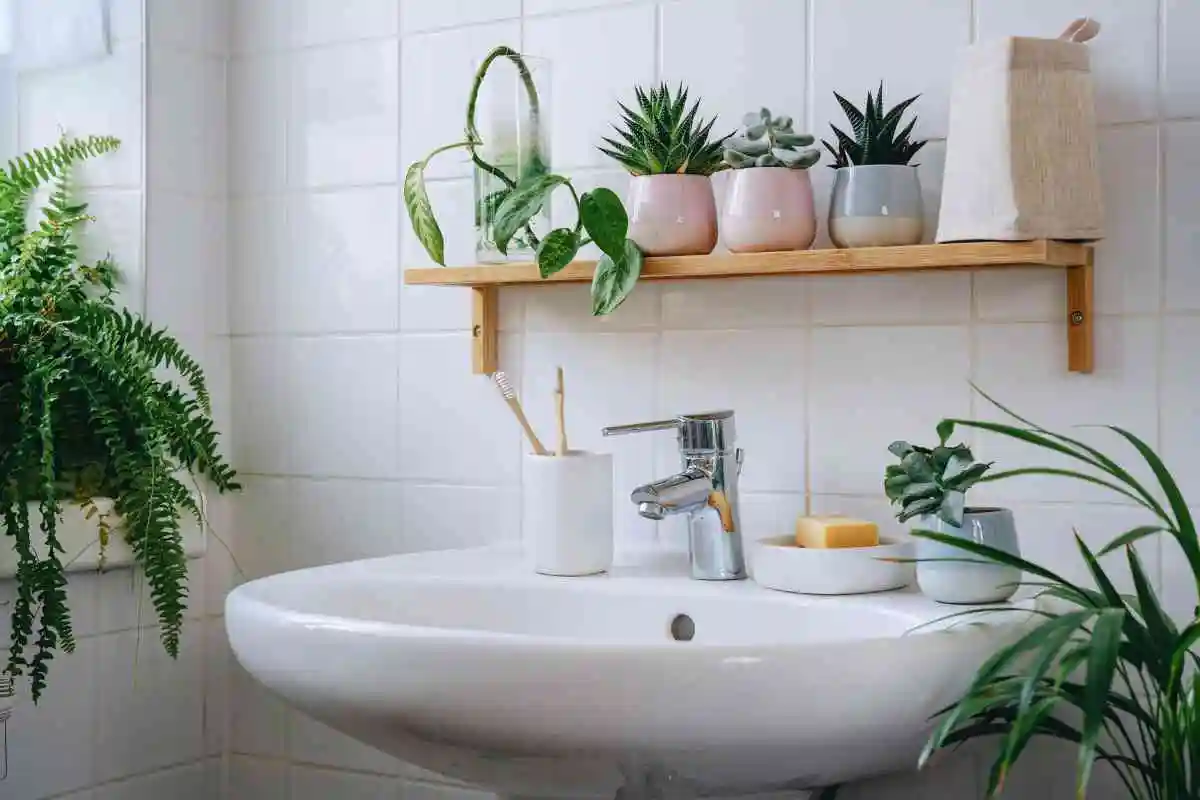 Transforma o Teu Banheiro num Spa: O Segredo do Eucalipto