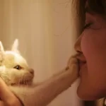 Por Que o Seu Gato Coloca a Pata na Sua Boca: 6 Razões Aprovadas por Veterinários