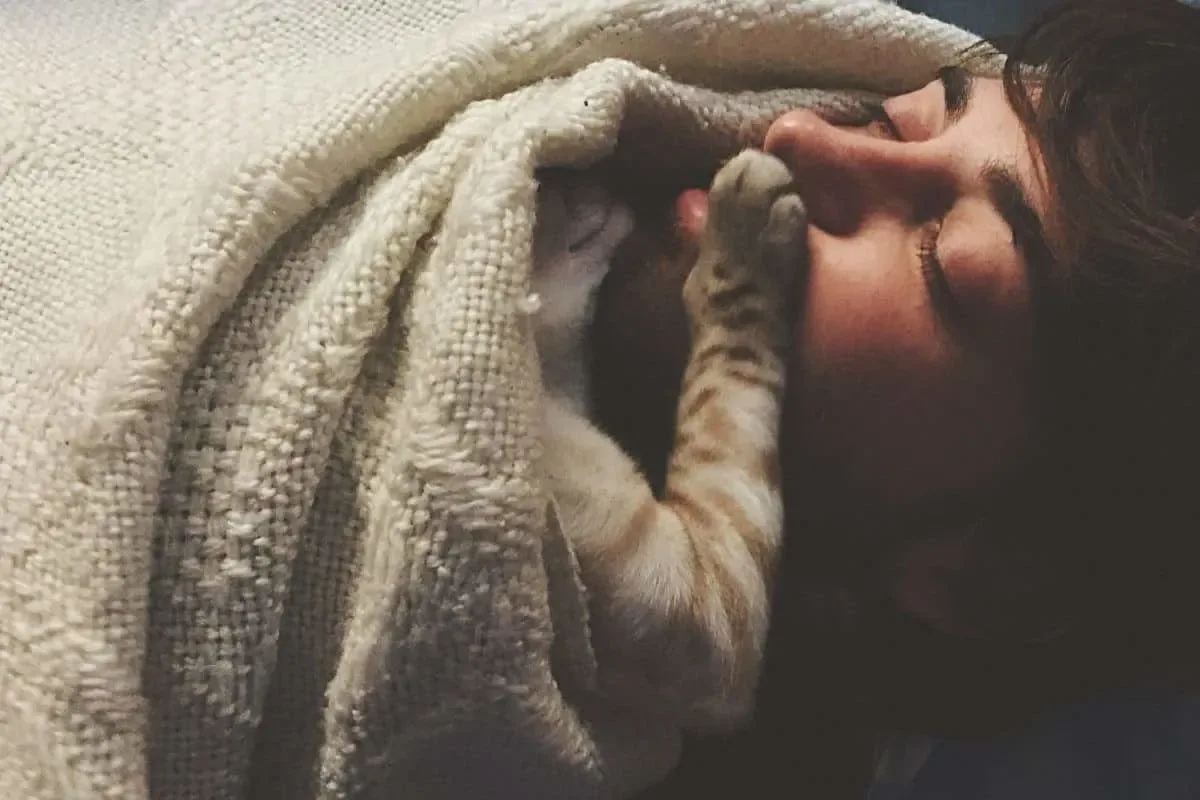 Por Que o Seu Gato Coloca a Pata na Sua Boca: 6 Razões Aprovadas por Veterinários