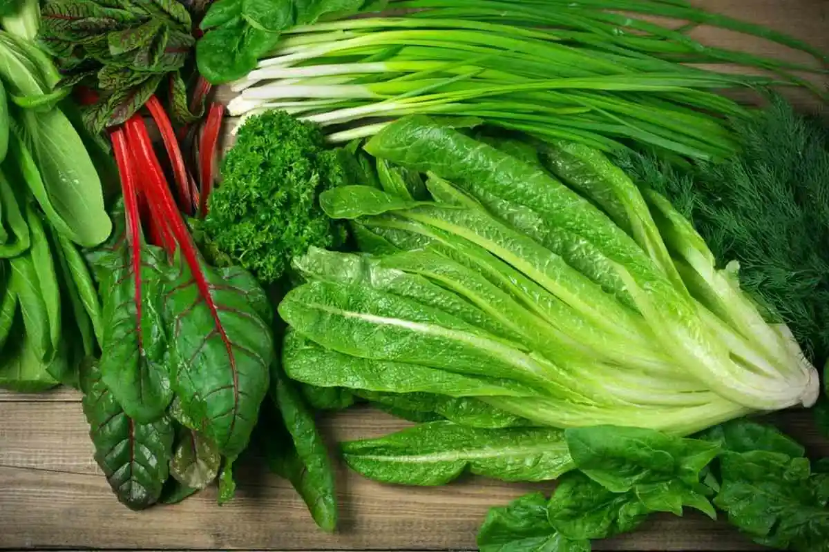 Benefícios dos vegetais de folhas verdes: por que esses superalimentos merecem um lugar na sua dieta diária