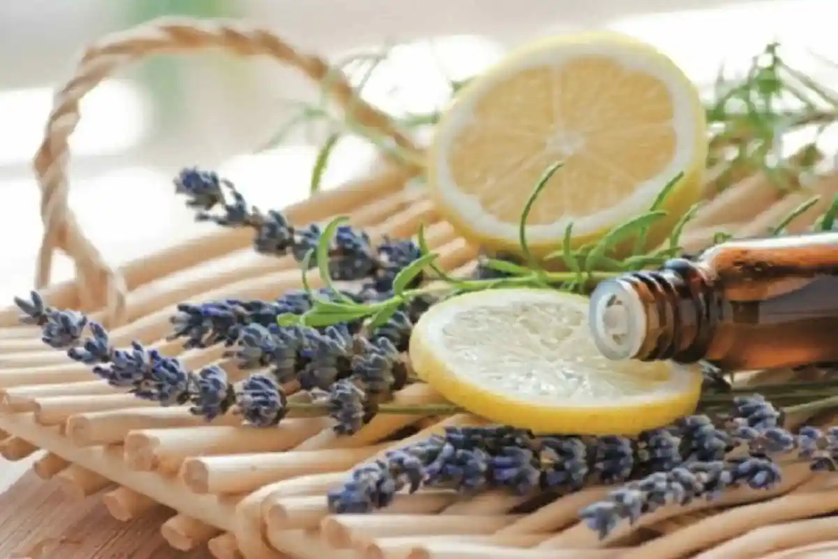 Ambientador caseiro: crie um aroma fresco e vibrante para a sua casa