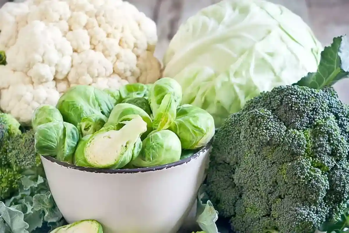 Melhore a sua saúde com repolho: por que este vegetal é uma fonte nutritiva poderosa