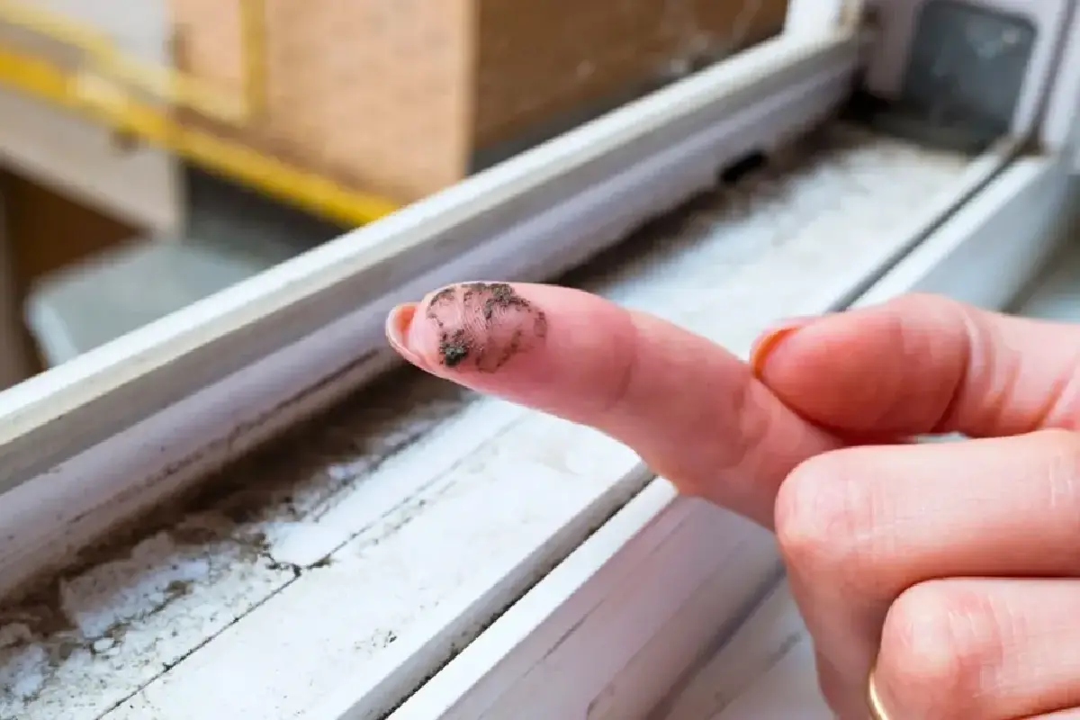 Truque Caseiro: Como Deixar as Tuas Janelas Impecáveis em Minutos