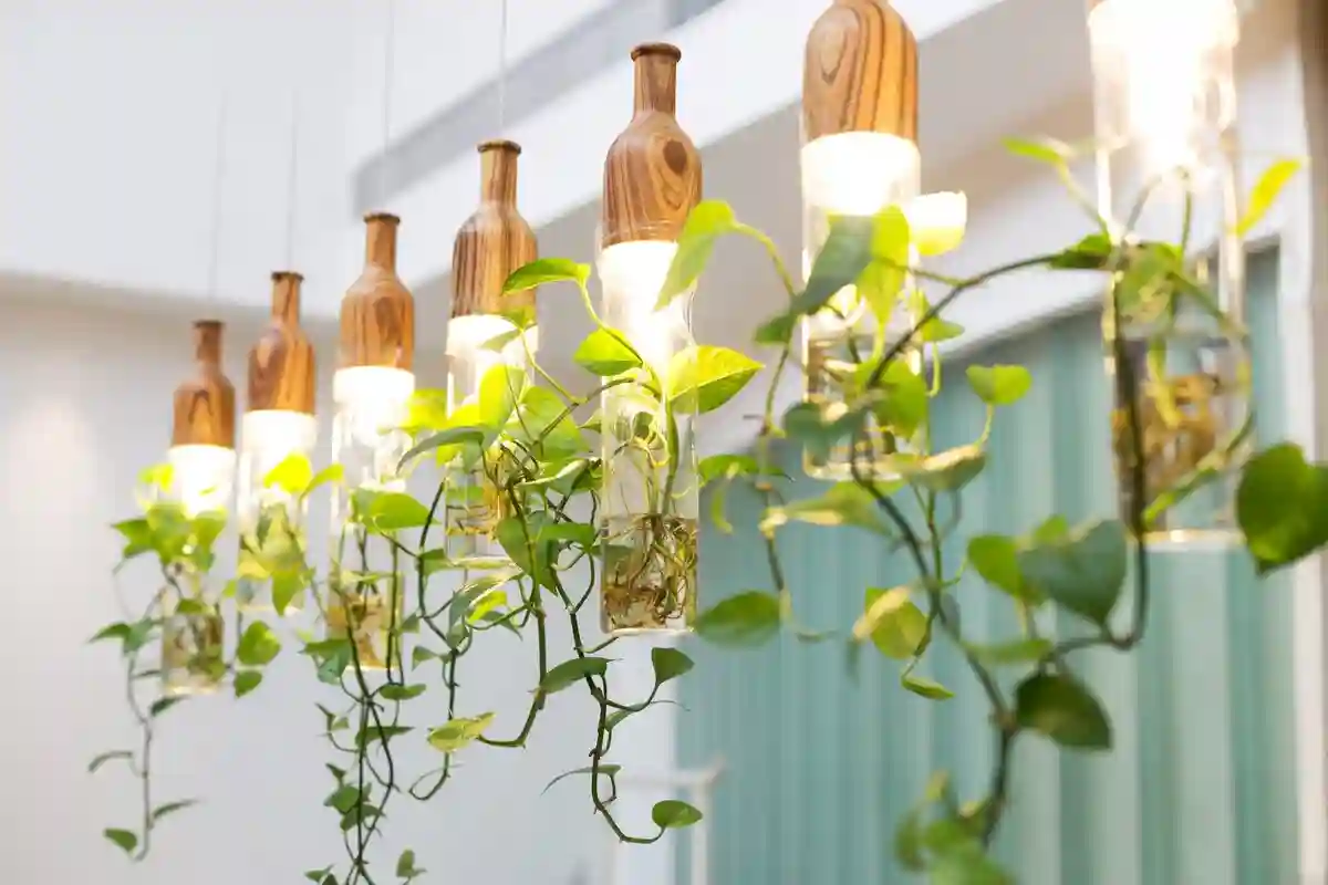 A Melhor Luz Artificial para Plantas: Qual Escolher e Porquê