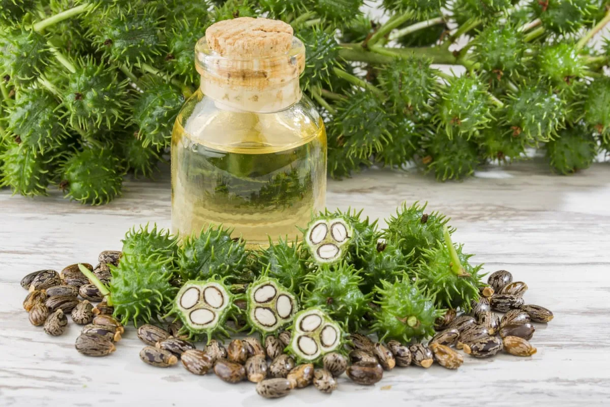 O segredo para cabelos sedosos e brilhantes: experimente esta máscara caseira para uma transformação deslumbrante