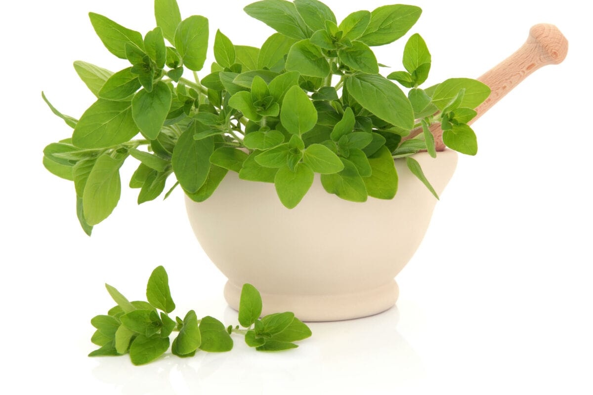 5 ingredientes para uma máscara facial caseira que rejuvenesce a pele