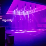 Entrando na Dança: O Que um Nightclub Virtual Revela Sobre a Interação Humana