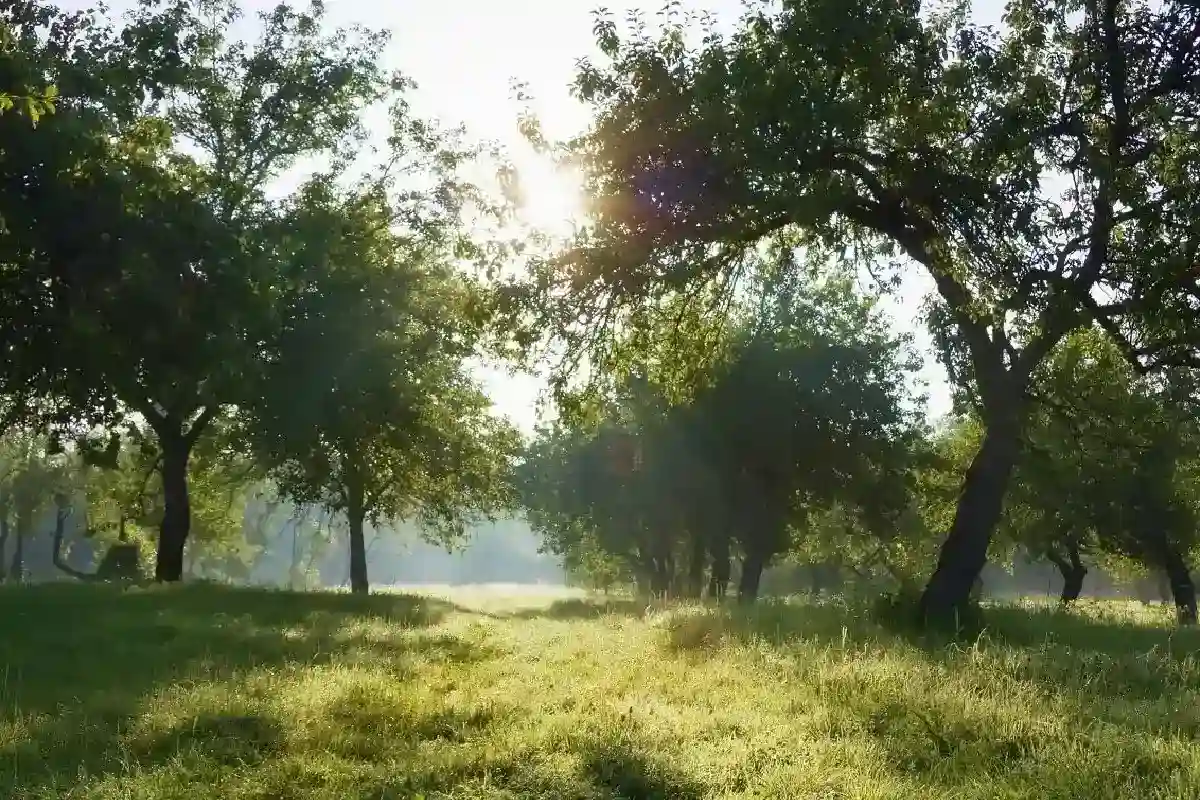 O Éden perdido descoberto? Arqueólogos localizam o paraíso sob o Golfo Pérsico