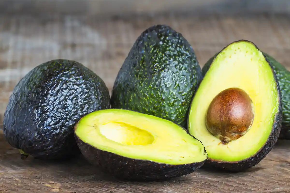 O Melhor Aliado do Jardim: Uma Solução Nutritiva Caseira contra Fungos e Pragas