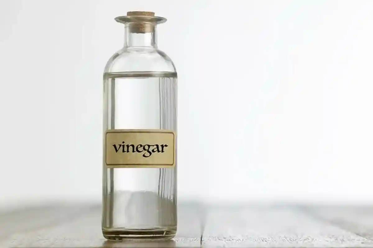 O Melhor Aliado do Jardim: Uma Solução Nutritiva Caseira contra Fungos e Pragas