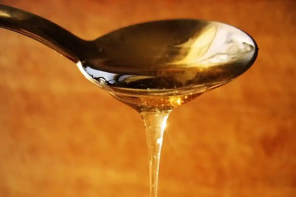 O Melhor Aliado do Jardim: Uma Solução Nutritiva Caseira contra Fungos e Pragas