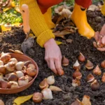 O que plantar em setembro no jardim e na horta?