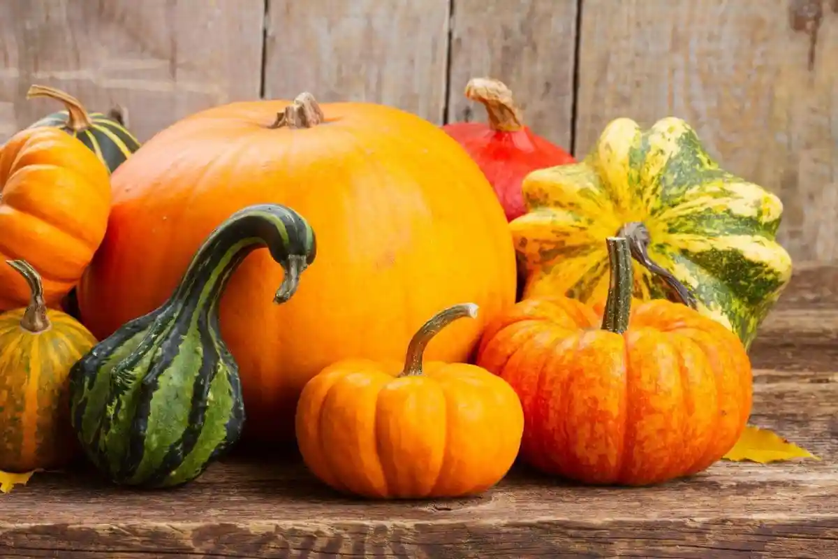 Como Fazer Sumo de Abóbora com Ácido Cítrico para o Outono