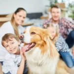 Qual Pet é Ideal para Sua Família?
