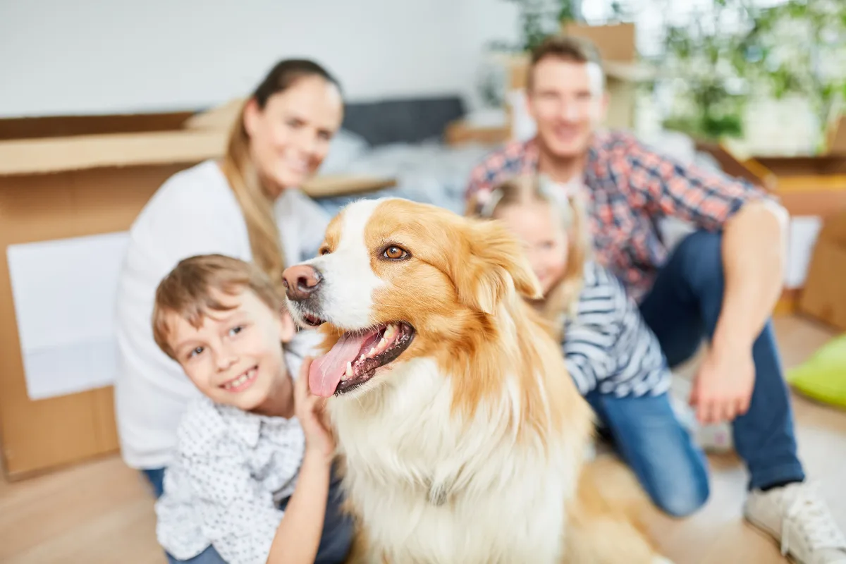 Qual Pet é Ideal para Sua Família?