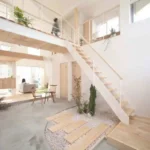Cuidado com Esta Planta: O Feng Shui Alerta que Pode Atraí Negatividade ao Teu Lar