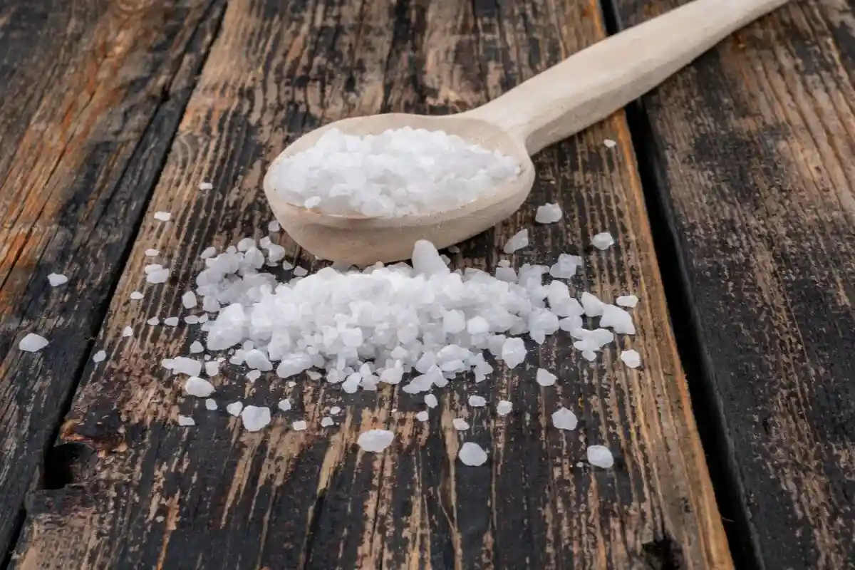 O truque genial para um guarda-roupa fresco e sem mofo