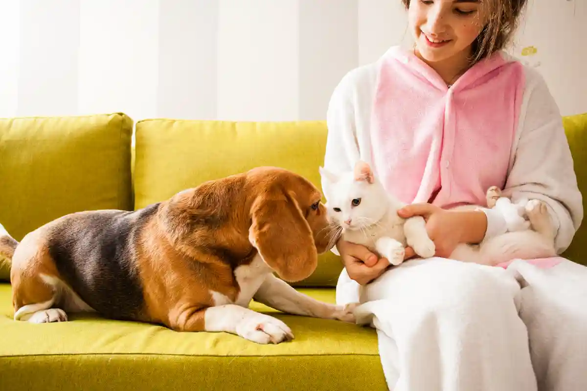 Segredos para cuidar de animais de estimação: como manter o seu gato ou cão feliz e saudável