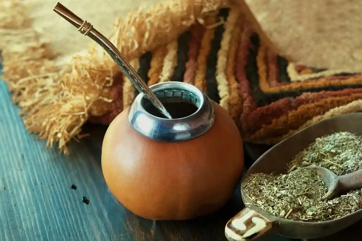 Consumo diário seguro de erva-mate: quanto pode beber sem riscos para a saúde?