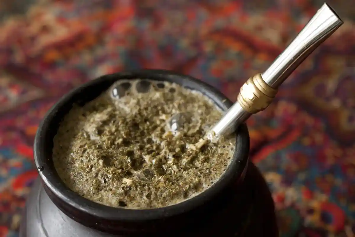 Consumo diário seguro de erva-mate: quanto pode beber sem riscos para a saúde?