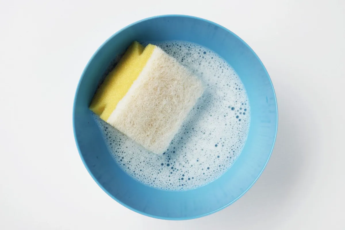 Como Combater Pragas na Schefflera em Casa