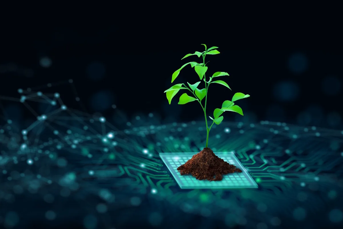 Como a Ascensão da Tecnologia Verde Está a Alimentar Outra Crise Ambiental