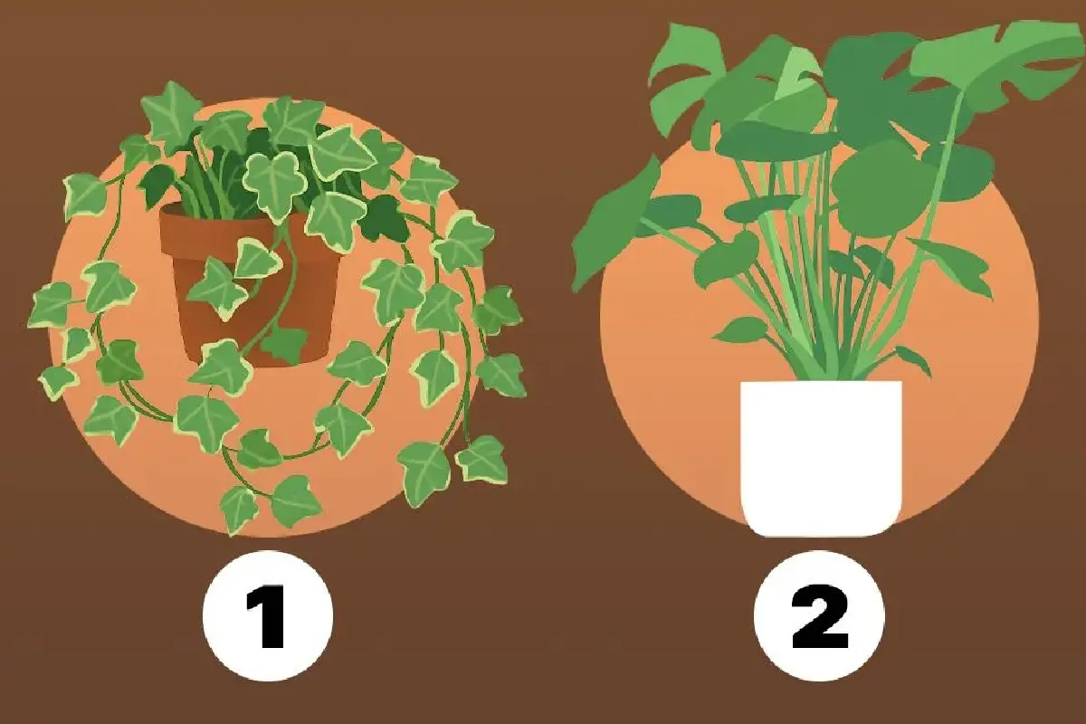 Consegue admitir os seus erros? Um teste de personalidade de 1 minuto para descobrir