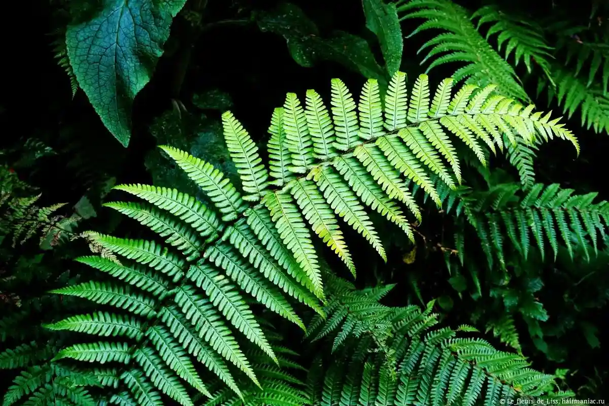 Consegue admitir os seus erros? Um teste de personalidade de 1 minuto para descobrir