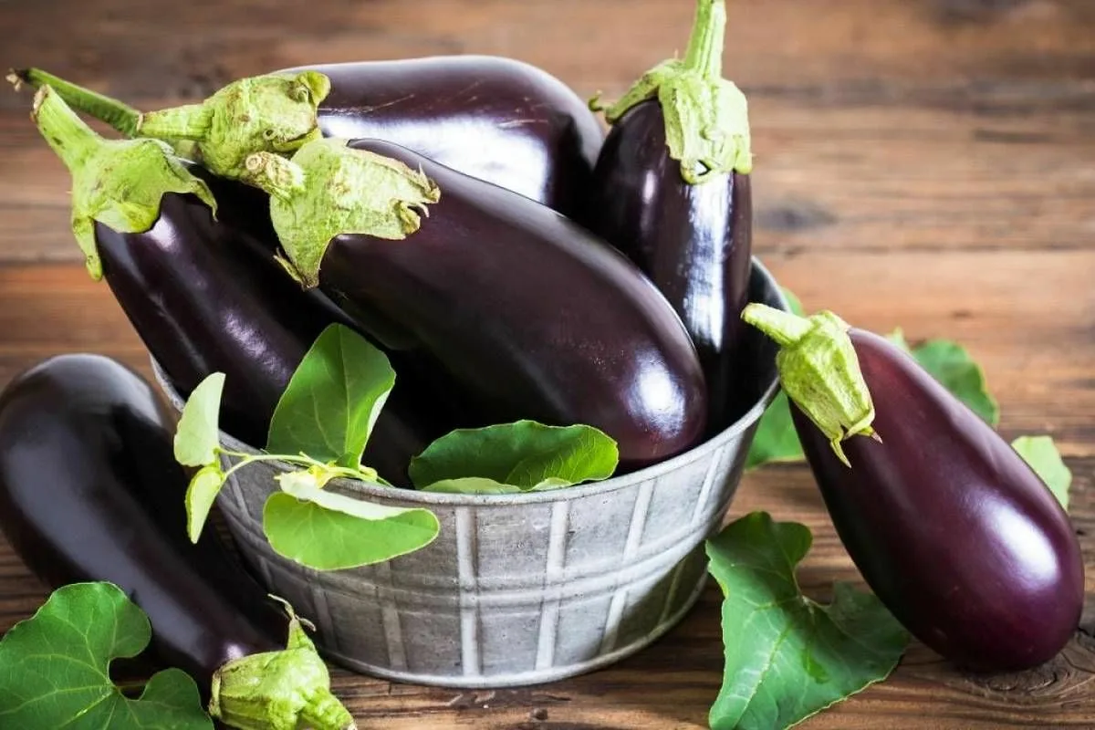 Como Tirar o Amargor dos Berinjelas: Um Truque Simples para Pratos Deliciosos