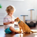 12 Melhores Animais de Estimação para Crianças: O que Considerar Antes de Escolher